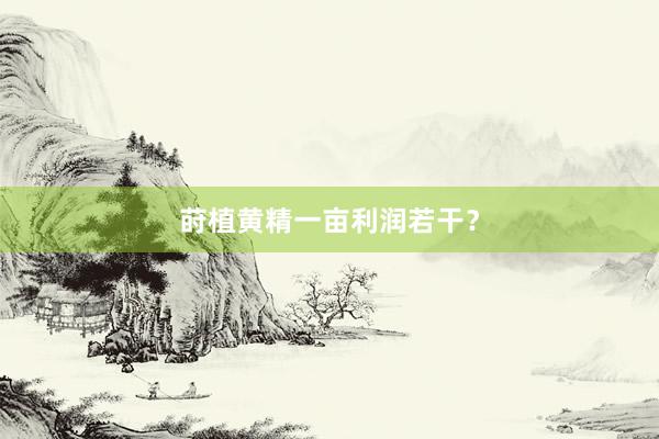 莳植黄精一亩利润若干？